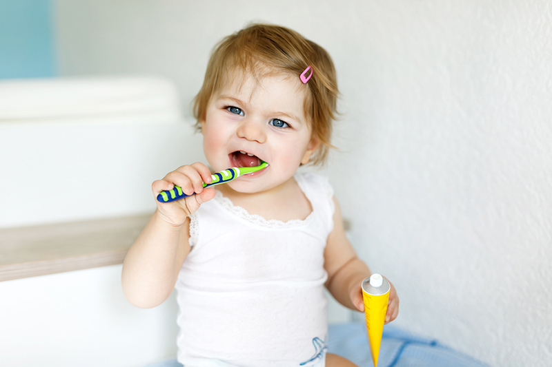 Toddler holding a toothbrush